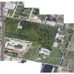 bird-view-prosal