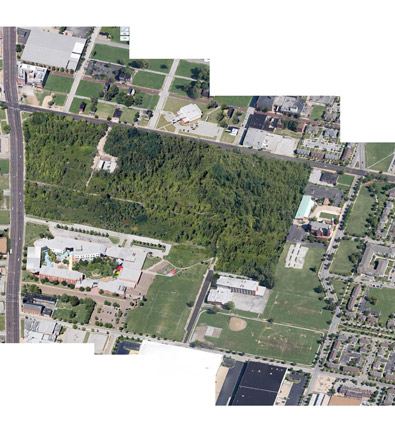 bird-view-prosal