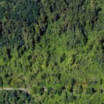 birdseye-pi-billboard