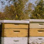 documenation-ubillbrod-web-imagre