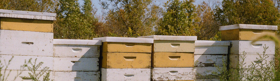 documenation-ubillbrod-web-imagre