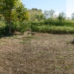 site-clearingbillboard