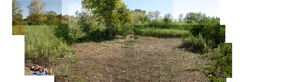 site-clearingbillboard